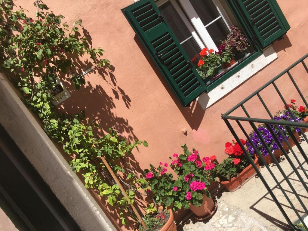 Apartment Grace, Feel At Home - Away From Home Split Exterior foto